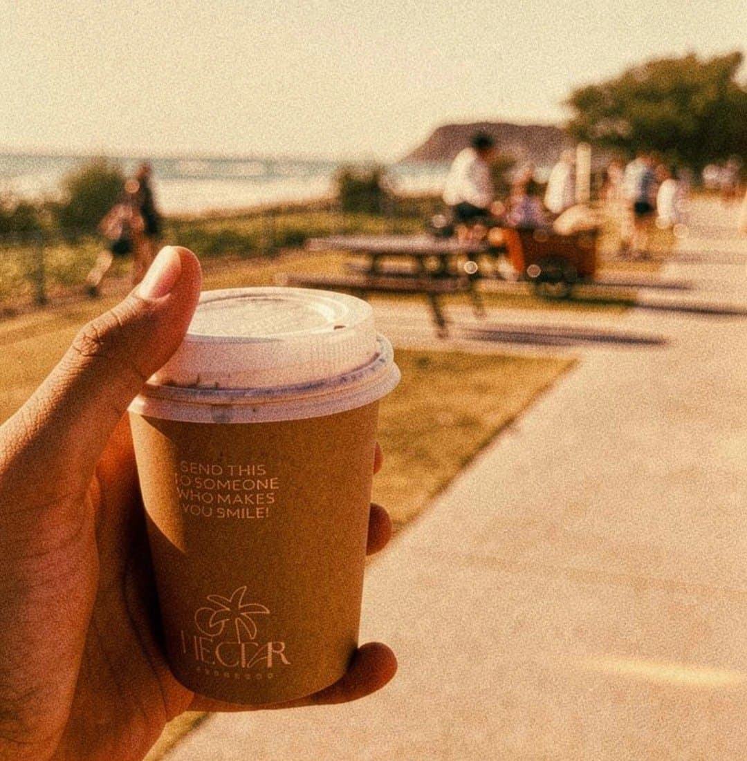A hand holding a takeaway cup on the beachfront path in the morning sun