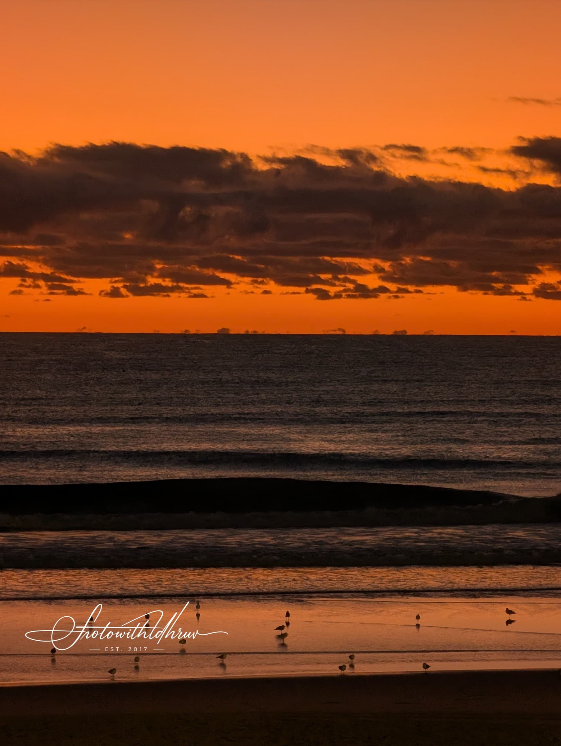 Morning Shorebirds in the Amber Swell